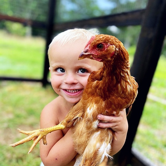 Meet your Posher, Anslee - Picture 7 of 7